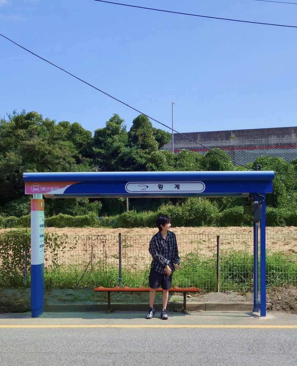 Trie standing under a blue bus shelter on a sunny day, looking off to the side.